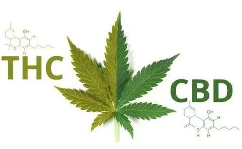 Τελευταίες εταιρικές ειδήσεις για Έτσι τι γίνεται με την κάνναβη και CBD στην Κίνα;